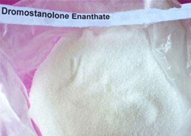 Αρσενική ακατέργαστη σκόνη Masteron Enanthate ορμονών, μυς Drostanolone Enanthate οικοδόμησης