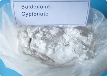 Λύσης στεροειδών τολμηρός άσσος Boldenone Cypionate σκονών ορμονών ακατέργαστος (106505-90-2)